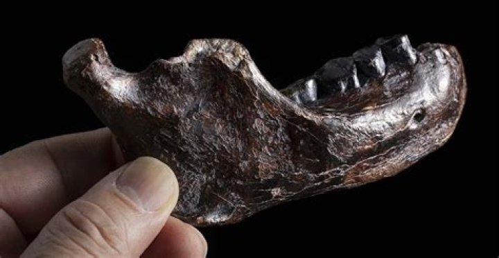 Unveiling The Secrets Of The Byford Dolphin: Discoveries And Insights Revealed